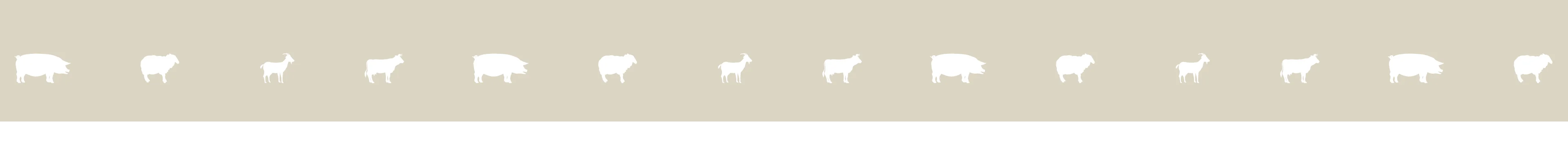 Image bandeau footer beige Image bandeau footer beige